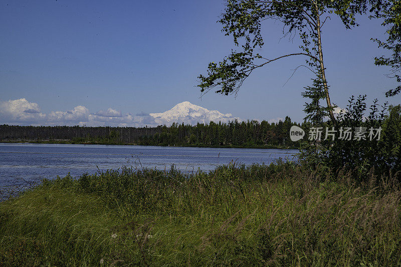 德纳里山从南面远眺