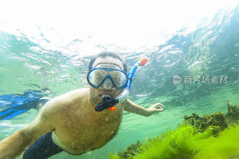 夏天，在法国布列塔尼海岸的浅水里浮潜的人