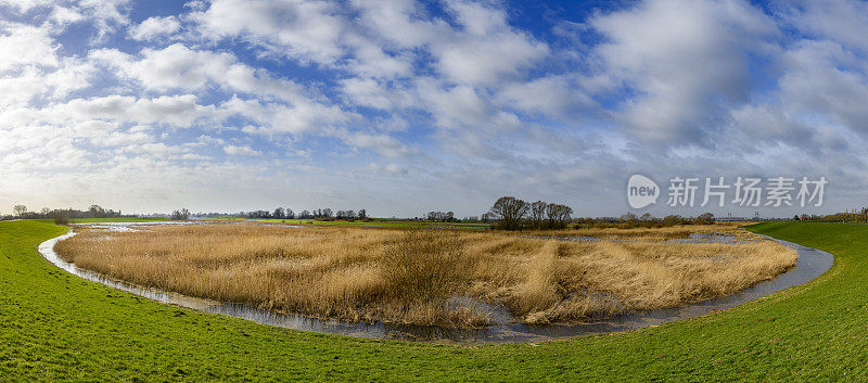 在IJsseldelta的Scheerenwelle自然保护区的全景