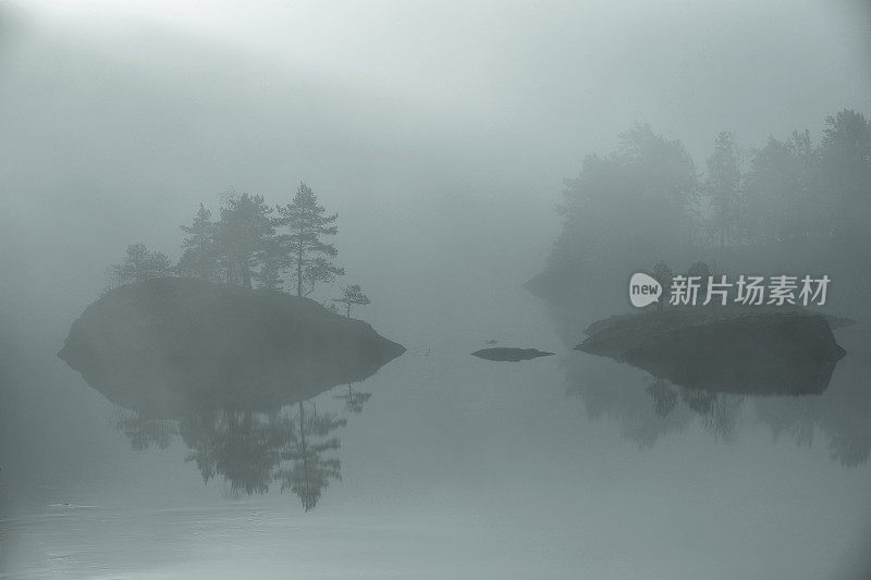 湖和树在雾中