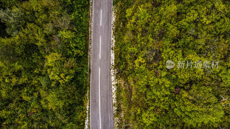 秋天的观点从上面-头顶上多彩的混合秋天森林空中背景，直接从上面