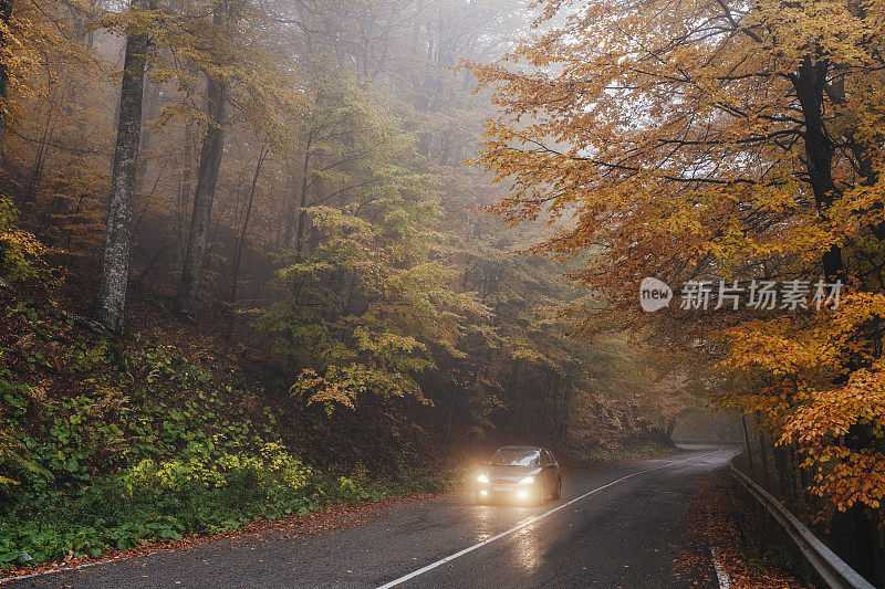 汽车行驶在美丽的秋天森林的道路上。