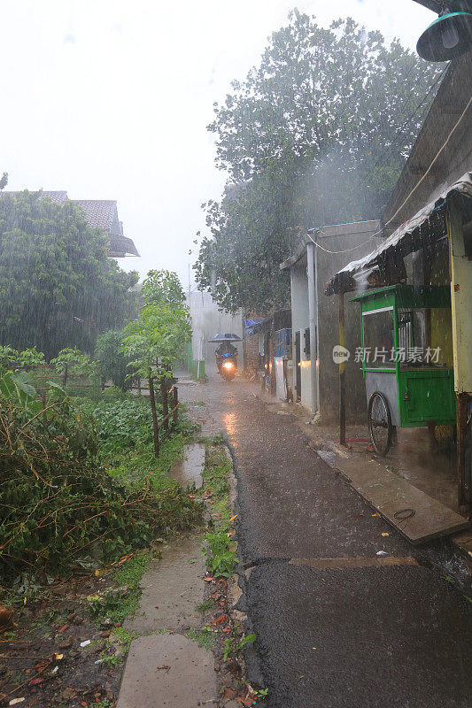 一个小女孩在倾盆大雨中带着雨伞。