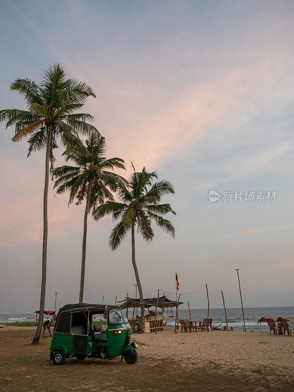 斯里兰卡海滩棕榈树下的人力车