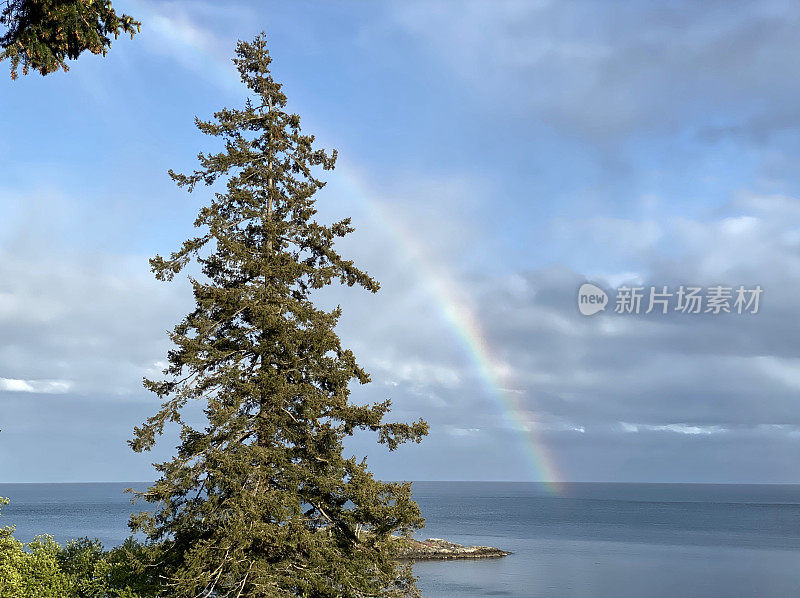 温哥华岛的海岸景色