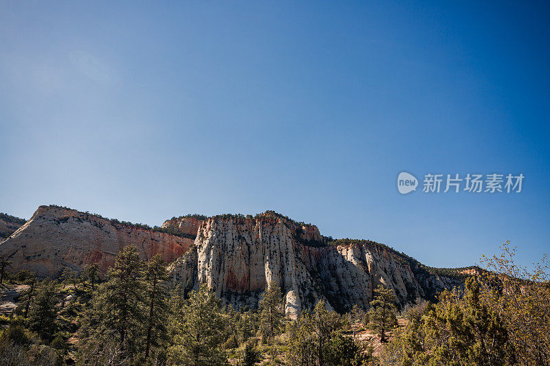 锡安国家公园的自然美景