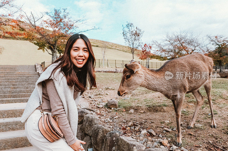 在日本奈良，亚洲年轻女子遇见和喂养可爱的鹿。