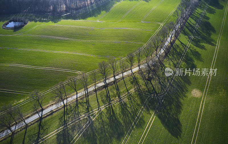 穿过农田的乡村公路