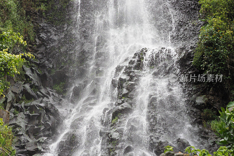 洛,厄瓜多尔