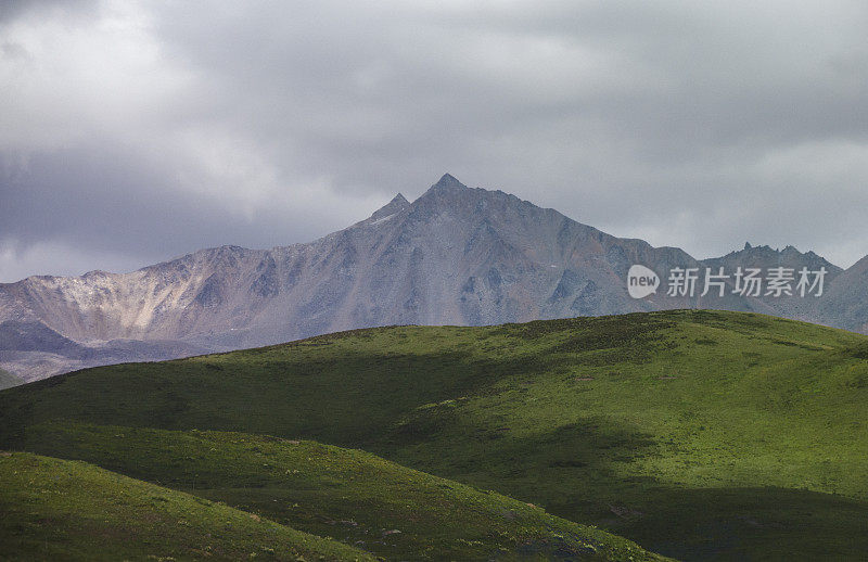 塔贡草原