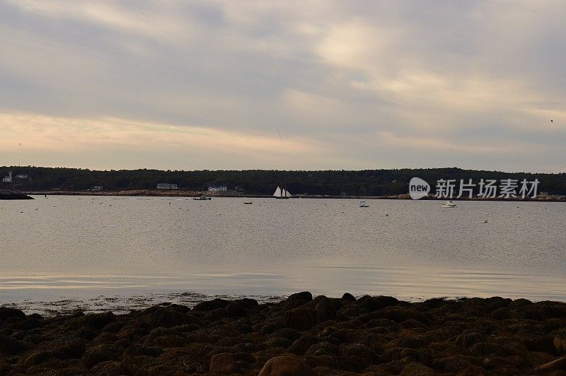 马萨诸塞州多岩石的海岸线