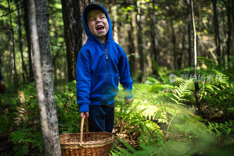 一个带着柳条篮子的迷路男孩在森林里大喊大叫