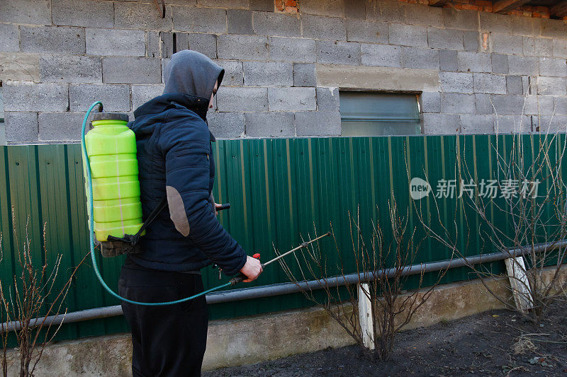 喷洒农药，在灌木上喷洒农药。在春天的花园里，一个农民正在用人工杀虫剂喷洒树。农业和园艺。化学喷洒。的焦点