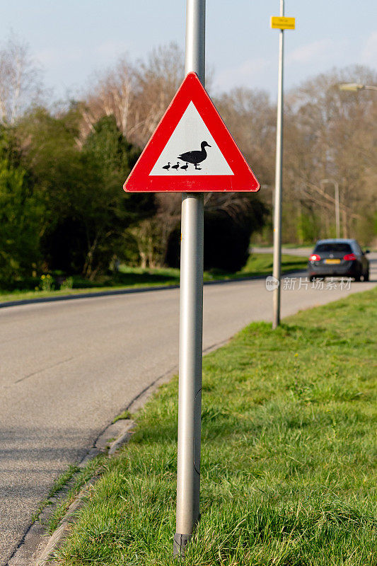 荷兰路标，警告鸭子过马路
