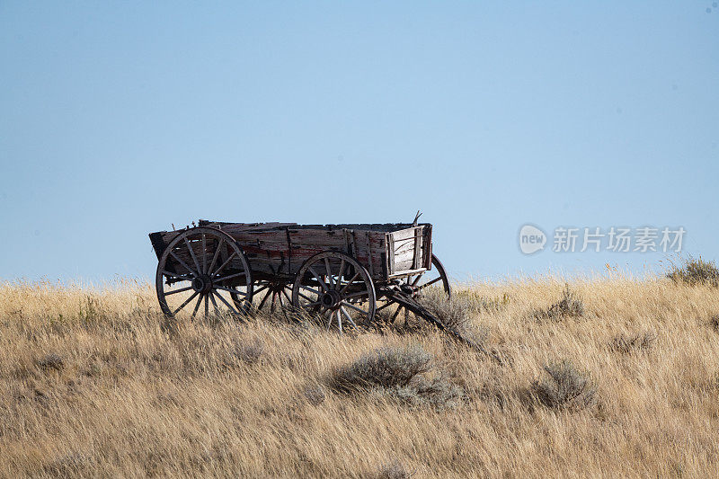美国西部蒙大拿州的草原马车