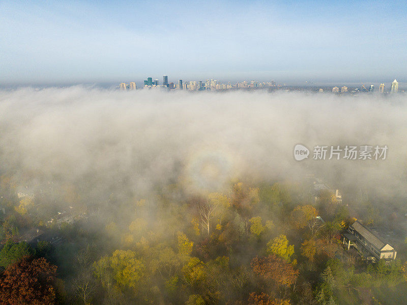 鸟瞰北约克的公园和住宅区，多伦多，加拿大