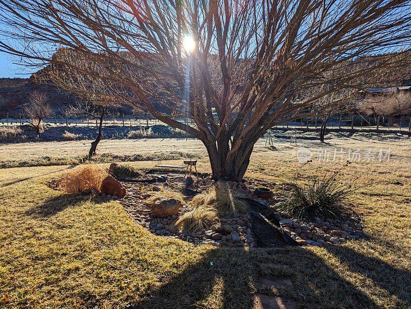 在犹他州洛克维尔，沿着格拉夫顿路的乡村栅栏，以南梅萨为背景，观看冬天的岩石花园和柳树