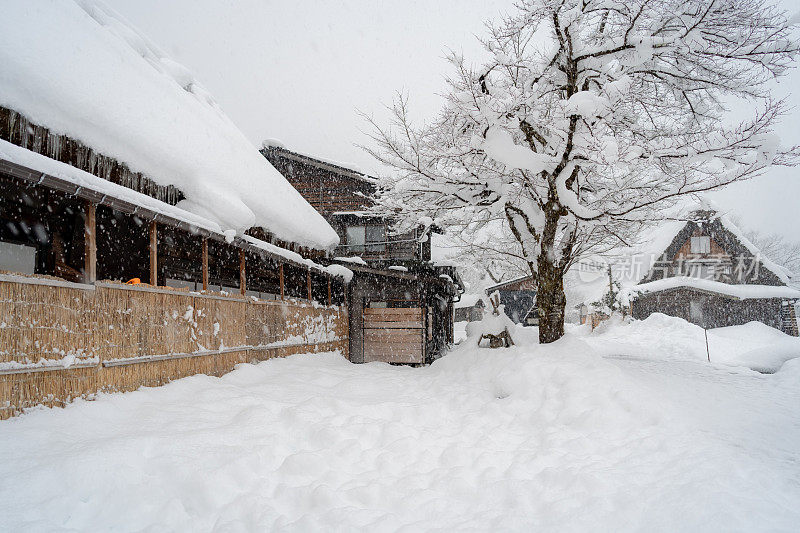 白川村的日本冬天积雪很厚