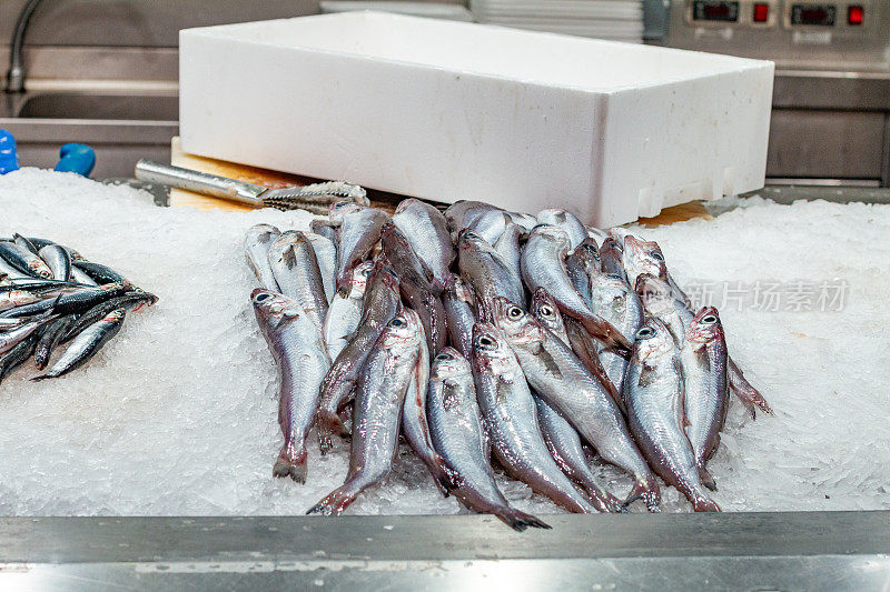 西班牙巴伦西亚中央市场的鱼市场