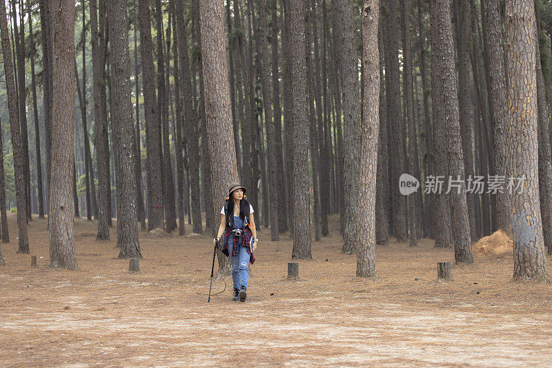 旅行者，背着背包的女人走在热带森林的小路上。