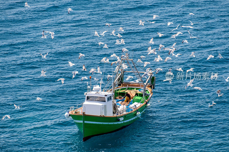 被海鸥包围的渔船
