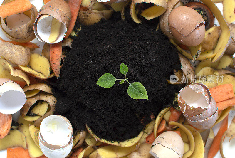 堆肥循环就像将一堆腐烂的厨房垃圾与蔬菜垃圾混合成有机肥料的土壤，而生长的年轻植物是有机肥料的组成部分。天然肥料