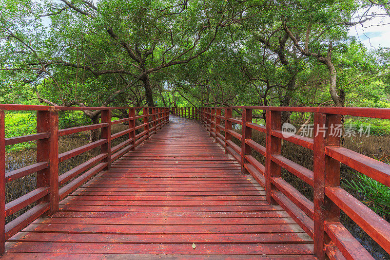 泰国罗勇，一条红色木桥直接通向红树林