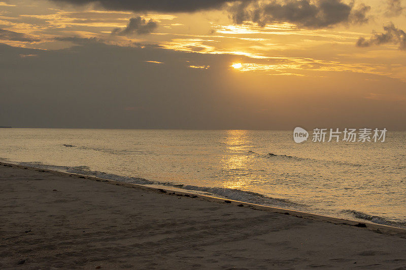 海龟在沙滩上留下足迹，黎明的阳光照亮了大海