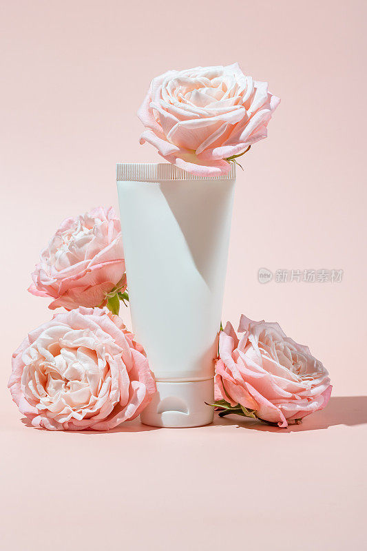 白色挤压瓶塑料管的模型，用于药品或化妆品的品牌-面霜，凝胶，护肤品，牙膏。化妆品瓶容器上粉红色的背景与玫瑰花。极简主义