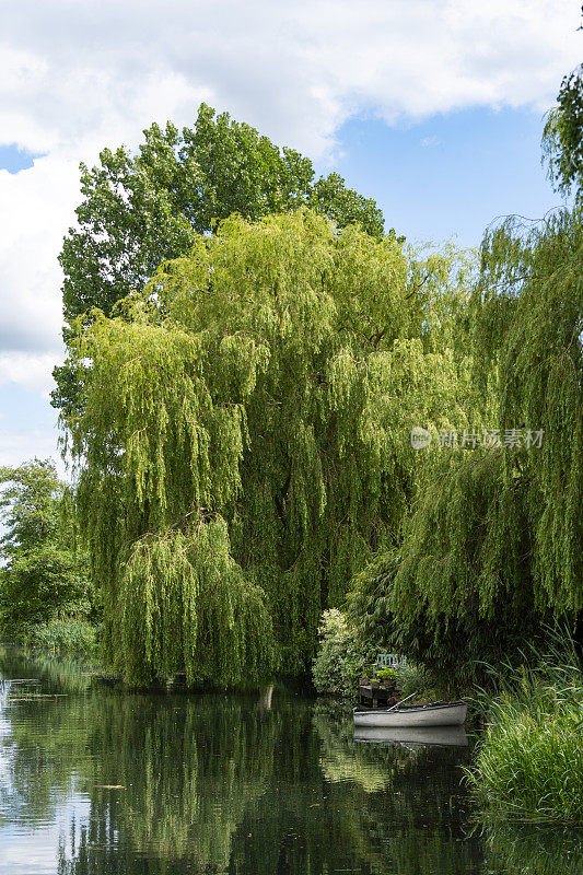 英语流