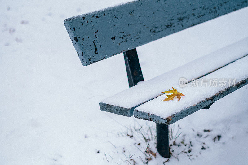 空旷的公园长椅上，刚刚落下的雪上的秋叶