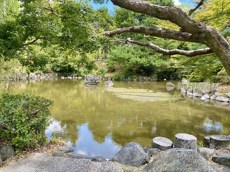 日本-京都-丸山公园