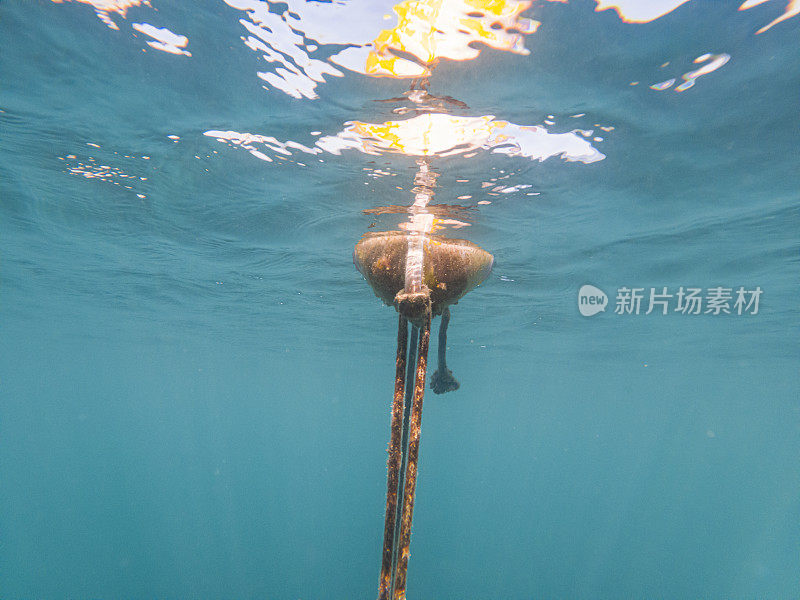 边界标记漂浮在海面上