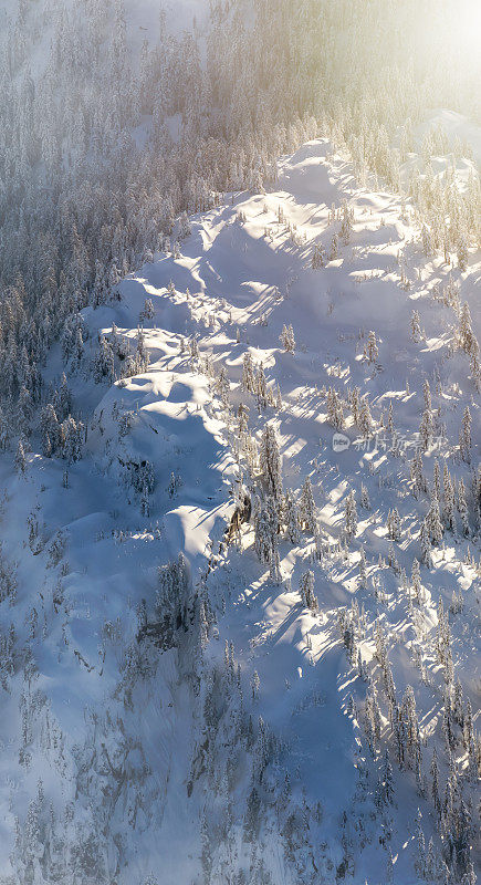 加拿大自然景观中的积雪山顶。空中