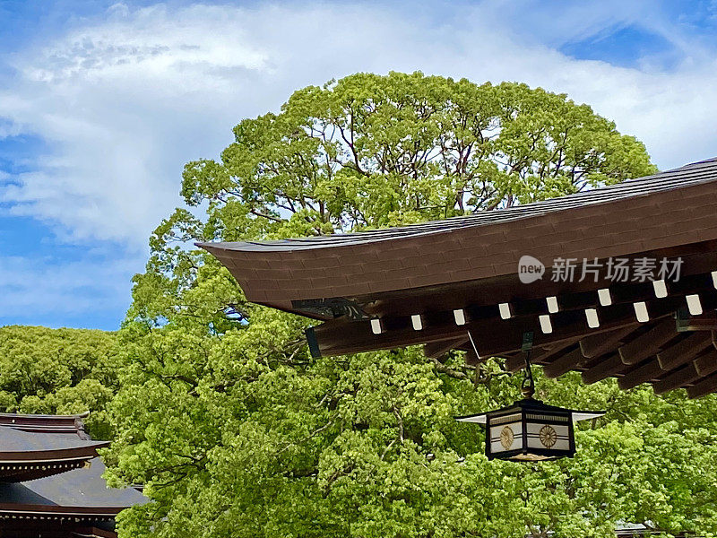 日本-东京-新宿和涩谷之间的明治神宫和寺庙