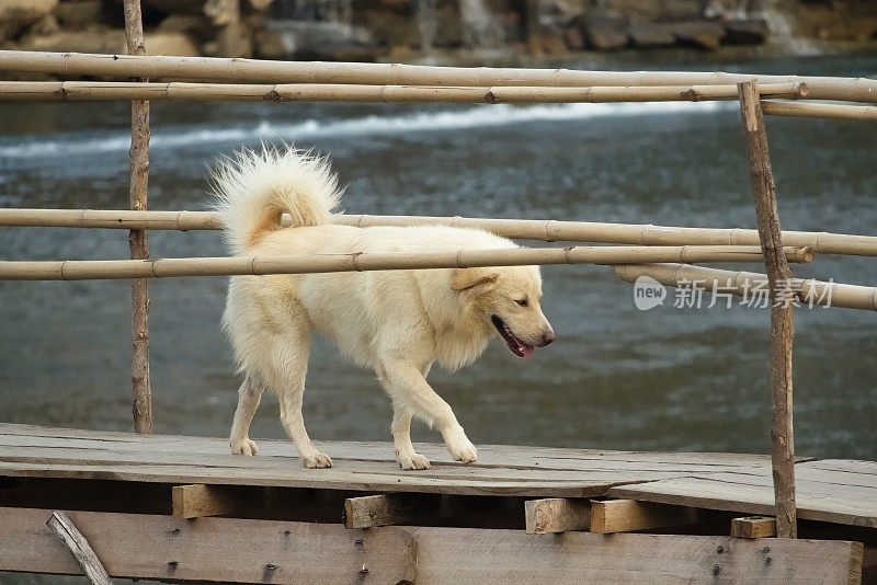 天上的平衡:旺荣的竹制人行桥