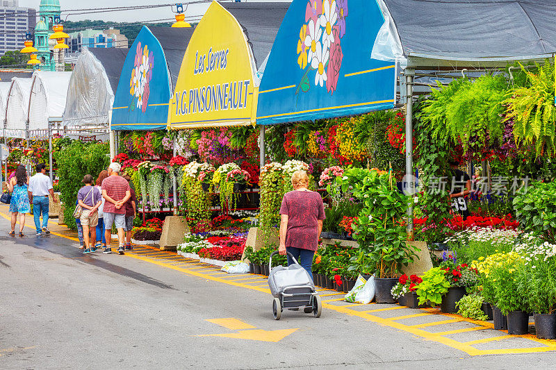 在蒙特利尔阿特沃特市场的温室花店附近散步的人们