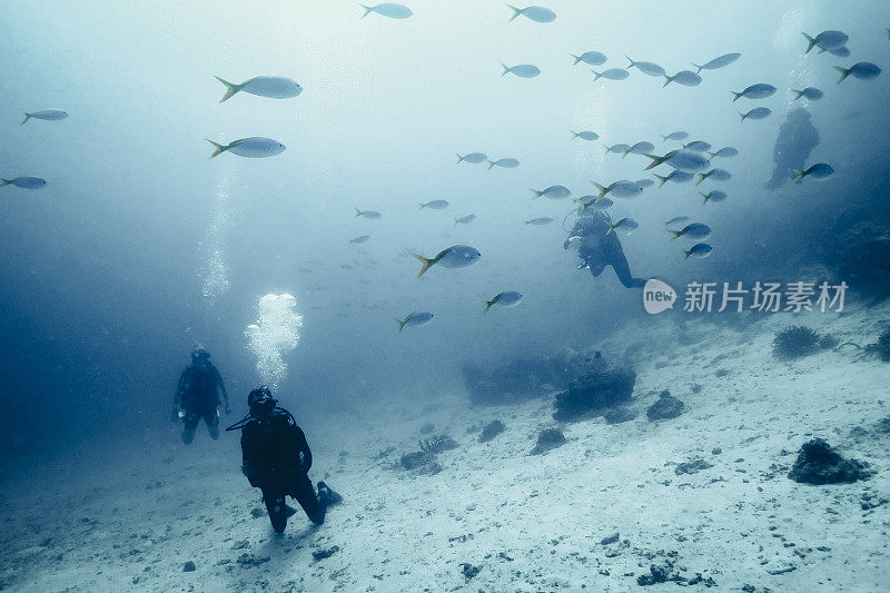 水肺潜水员探索水下生活