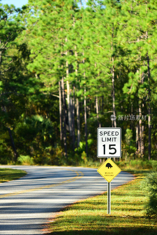 在松树林弯曲的道路，限速15英里每小时和动物交叉标志