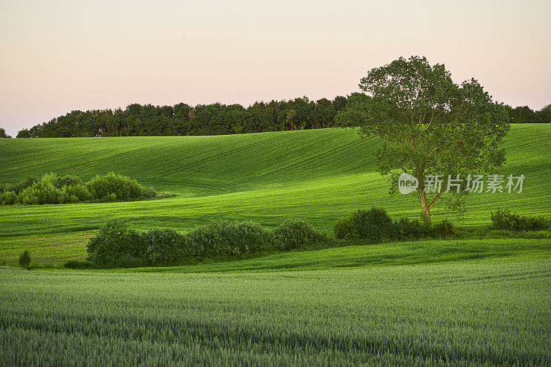 阜嫩山峦起伏