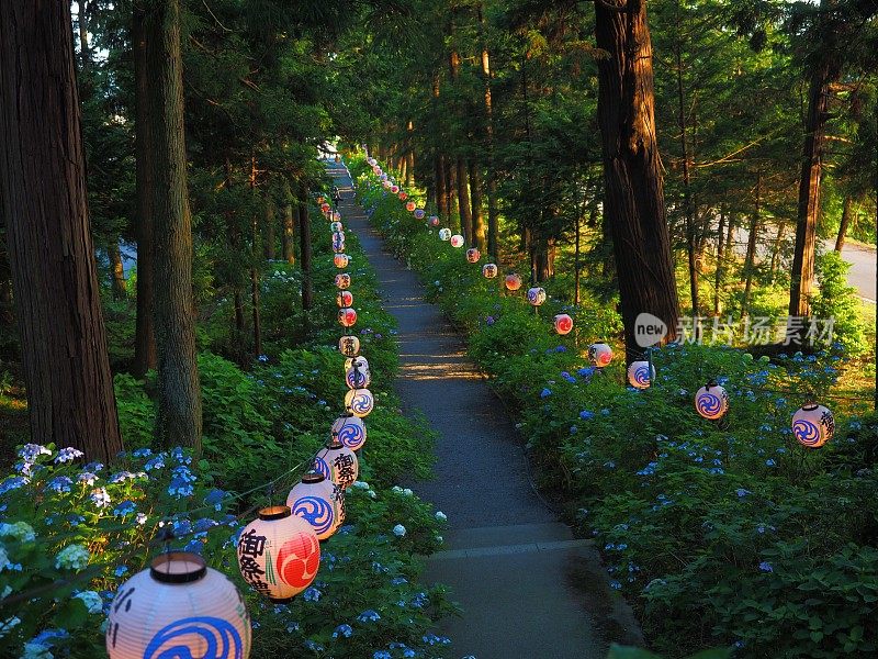 酒斋绣球花节上挂着灯笼，通往Isoyama-jinja神社的主厅