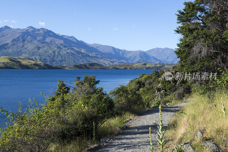 沿着格兰湖湾轨道的瓦纳卡湖风景