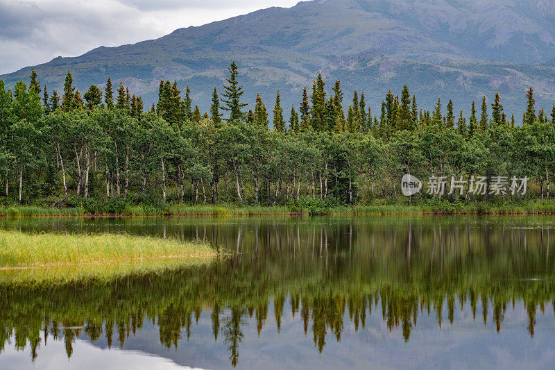 德纳里山湖泊倒影