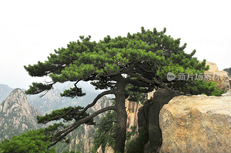 黄山，多云的夏日，中国东部安徽省南部。