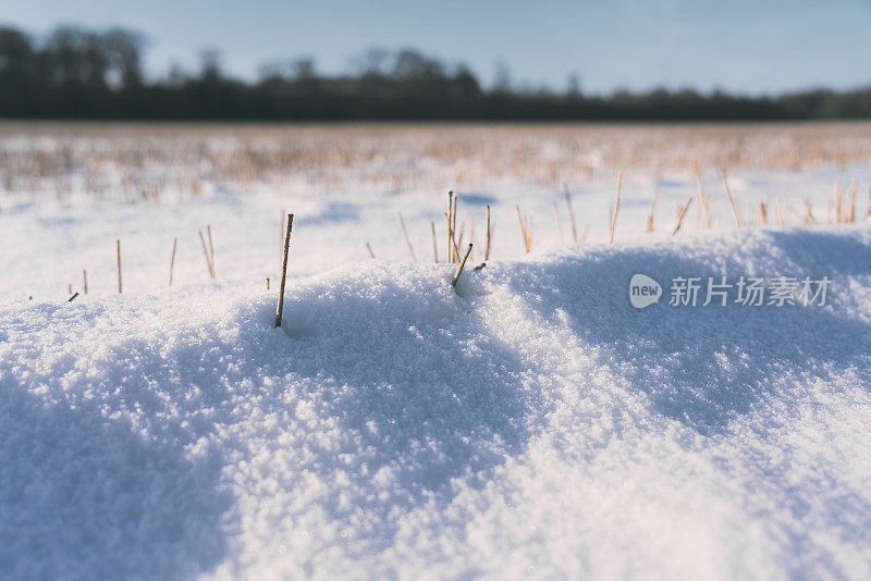 麦茬地上的雪