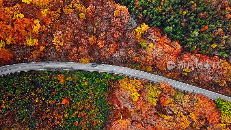 在五彩缤纷的秋天森林里，从空中俯瞰蜿蜒的山路