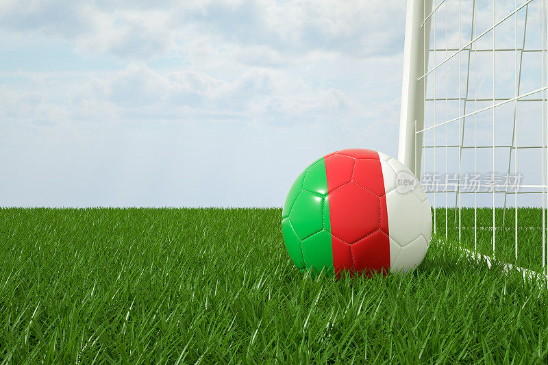 意大利足球在草地上