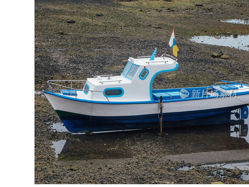 一条蓝白相间的小船在退潮时搁浅在海滩上