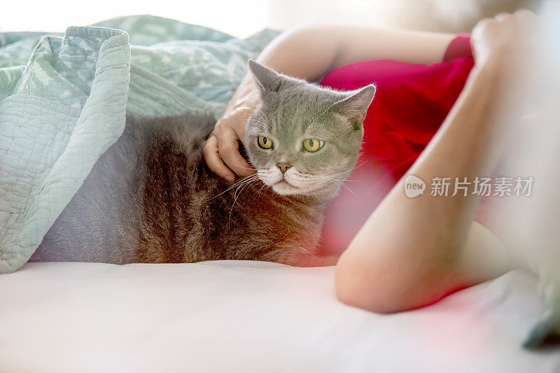 放松的女人和她的胖猫一起睡在家里