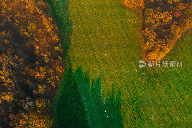 农业领域无人机摄影。可持续性。保护大自然。秋天的森林背景。阳光明媚的一天。日落。地球上空飞行。大气的格局。黄色的树。十月。乡间小路